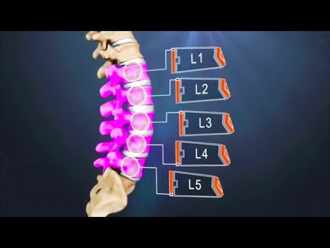 Video: Diagram Hrudných Stavcov T8, Anatómia A Funkcia Karosárske Mapy