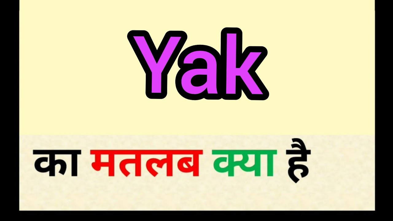 Yak meaning in hindi || yak ka matlab kya hota hai || word meaning english  to hindi - YouTube