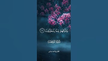 تلاوة عطرة للقارئ احمد عباس البلوشي