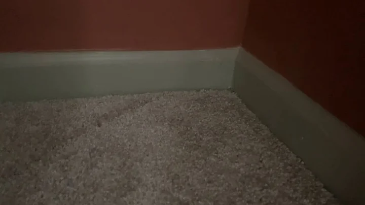 Philip K House Video 5