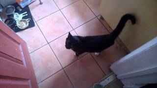 WP 20150716 14 09 09 Pro