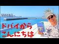 【ドバイからこんにちは】こやぎ先生の中の人ちゃんねる がライブ配信中！