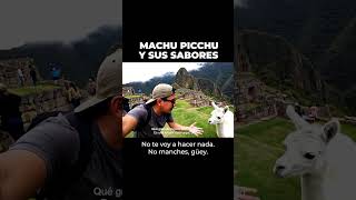 🇲🇽 Un mexicano en Machu Picchu… ¡y una alpaca lo escupió! 🦙🌶️