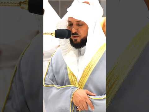 يا أيها الذين آمنوا هل أدلكم على تجارة تنجيكم من عذاب أليم تلاوة خاشعة للشيخ ماهر المعيقلي