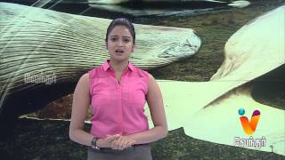 World News 06062015 epi 42