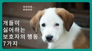 강아지들이 싫어하는 보호자의 행동 7가지