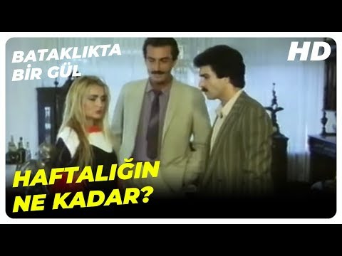 Erol ve Bülent, Selma Yüzünden Birbirine Girdi | Bataklıkta Bir Gül - Banu Alkan Türk Filmi