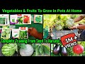 April Vegetables To Grow In pot ~ Full Updates From Seed To Harvest ~Summer Veggies Fruits And Herbs