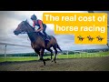 BEFORE YOU BUY A RACEHORSE WATCH THIS VIDEO