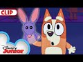 Bluey Season 1 Episode 12 &quot;Bob Bilby&quot; Episode Clip | @disneyjunior | @BlueyOfficialChannel​