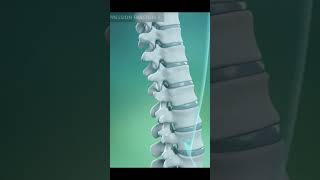 Save Your Spine Pull Up Mistake.