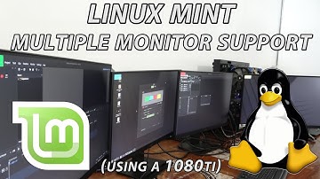 Linux Mint Multiple Monitor Set Up - Linux Mint 1080Ti