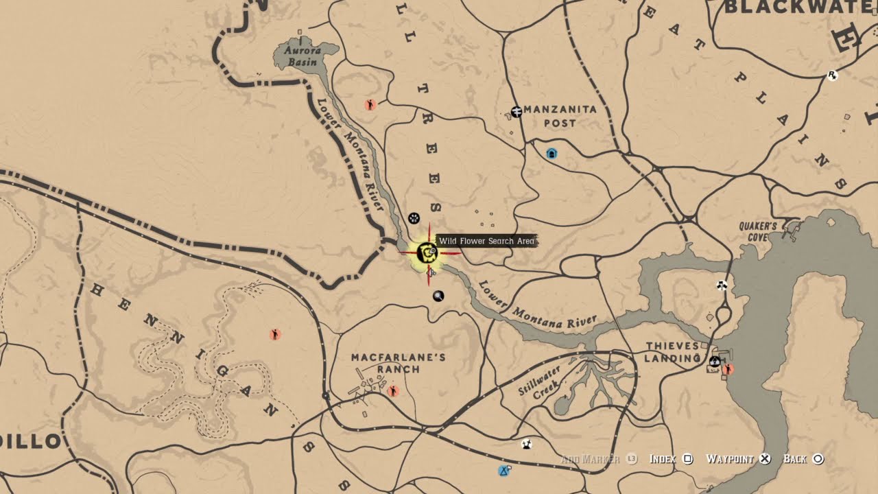 Red Dead Redemption 2 "Lower Montana River Wild Flower" YouTube