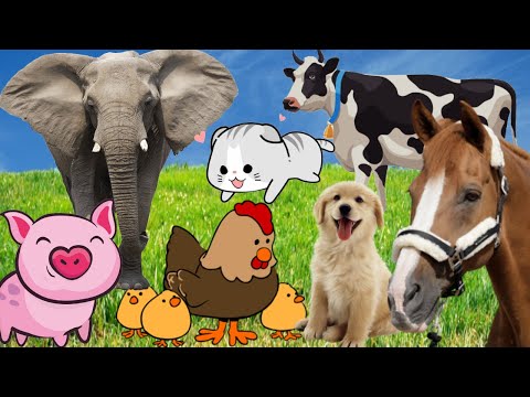 Семейные животные вокруг нас: Лошадь, Кошка, Корова, Слон - Звуки животных на ферме