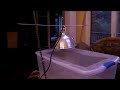 Middle of video