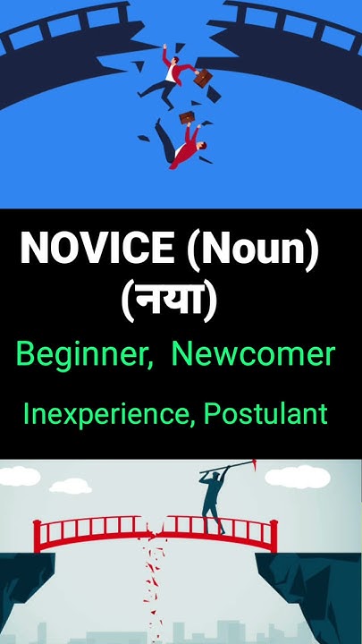 Novice Meaning Daily Vocabulary Daily Synonyms important Vocab YouTube novice-meaning-in-telugu-with-examples-novice