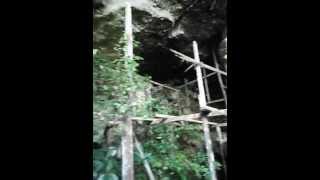 DSCF0403