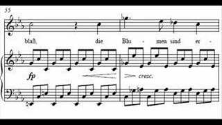 Schubert - Winterreise, D 911 "Erstarrung" - D F Dieskau chords