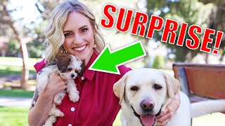 ELLIE'S BIRTHDAY SURPRISE!!! For Someone Else?!