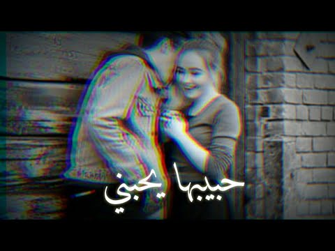 حبيبها يحبني دالي    مسرع مع الكلمات