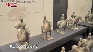 Hebei Cixian's 'Mini Terracotta Warriors' Go Viral: How a Niche Museum Attracts Visitors