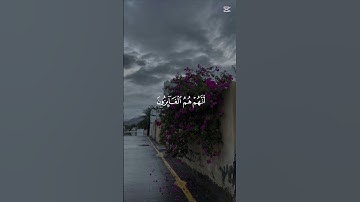 قرآن كريم ♥#اسلام_صبحي #سوره #راحة_نفسية #اكسبلور #الرحمن #لايك