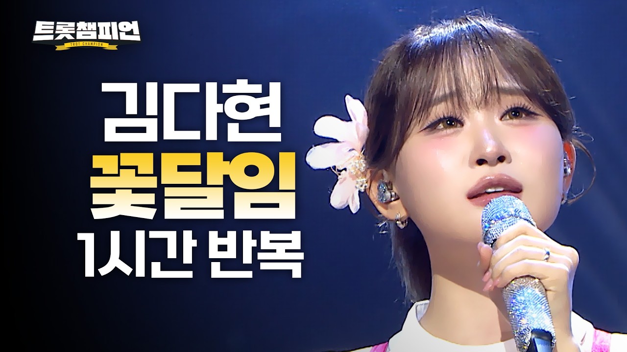 [트롯 재생] 트롯챔피언 김다현 '꽃달임'✨ 1시간 듣기 트롯🎵ㅣ#트롯챔피언ㅣ#트롯869