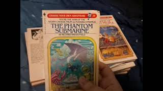 My Choose Your Own Adventure book collection as of 25 July 2026