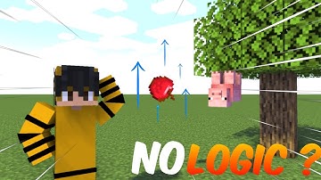 This Minecraft Map Has No Logic...