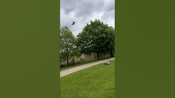 Traxxas Rustler & Slash Tandem SEND IT! #rc #viral #rccars #traxxas #sendit