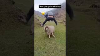 When he play games with sheep 😂 #shortsfeed #funny #browsefeaturesyoutube  #youtuberecommendations