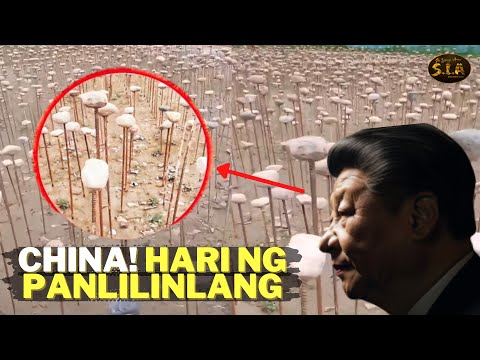 Video: Muli tungkol sa 