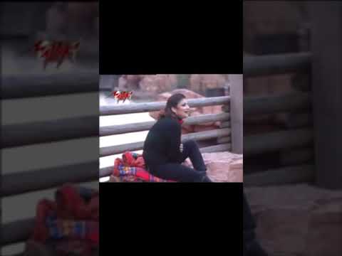 اصالة نصري هيه كدا ايامنا