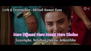 Lirik Dil Laga Liya Terjemahan Indonesia Dil Hai Tumhaara (2002)