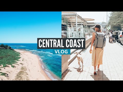 Central Coast Day Trip [Central Coast Vlog] Terrigal Beach and North Shelly Beach Dog Beach