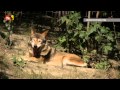 TVS: Zlيnsk‎ kraj 18.7.2014