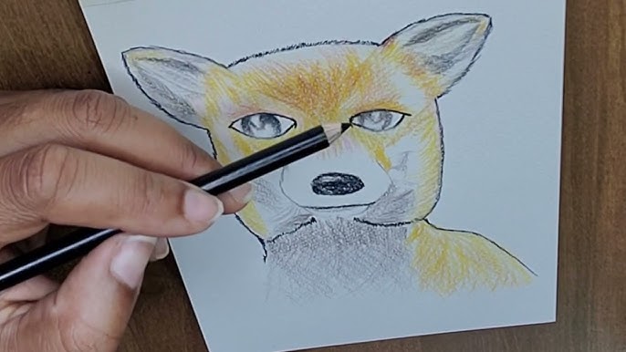 Prismacolor Technique 28ct Animal Drawing Set Level 3 Refinement & Mastery