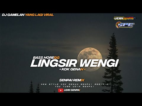 DJ BASS HOREGG LINGSING WENGI || DJ TERBARU 2023 udin senpai