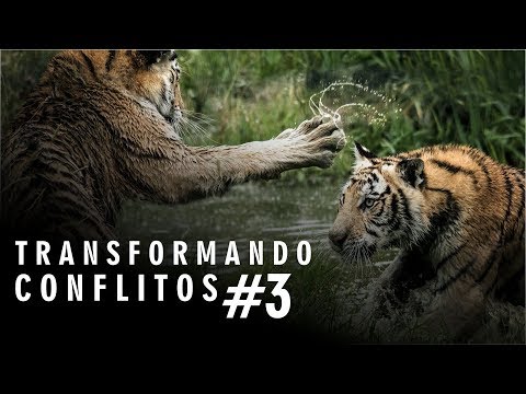 Vídeo: Como você lida com conflitos não resolvidos?