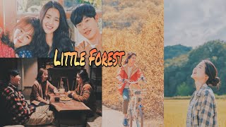 [MV] [Little Forest OST] Yoongjin - Strolling
