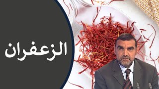 فوائد الزعفران / للجهاز الهضمي، للأرق، ولتقوية البصر / د. محمد الفايد / نخل ورمان / dr mohamed faid