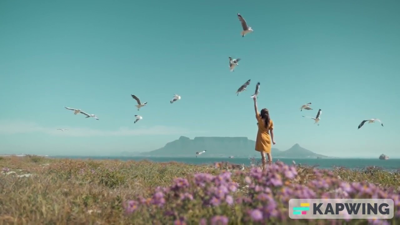 Watch William Gallery -Air (Promo Video Song) on YouTube Watch William Gallery -Air (Promo Video Song) on YouTube