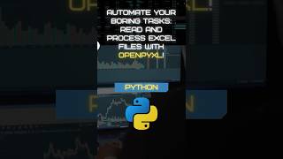 Read and process Excel files with Python openpyxl library!🚀 #pythonprogramming #python #coding