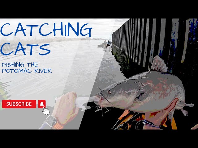 Fishing with Cheap Catfish Reels 