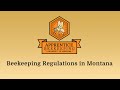 Beekeeping regulations in montana