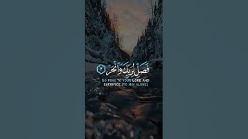 سورة الكوثر - القارئ عبدالرحمن مسعد - ذكر الله - Quran