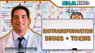 Gastrointestinal | Biotransformation of Drugs and Toxins