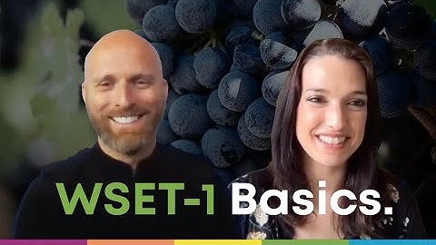 What you need to know about the WSET Level 1