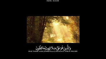 آيات عطرة من الذكر الحكيم