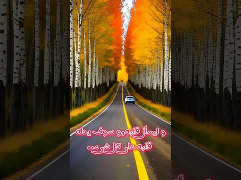 ليعد كل منا إلى قلبه في ساعة خلوة مصطفى محمود اقتباسات اقوال